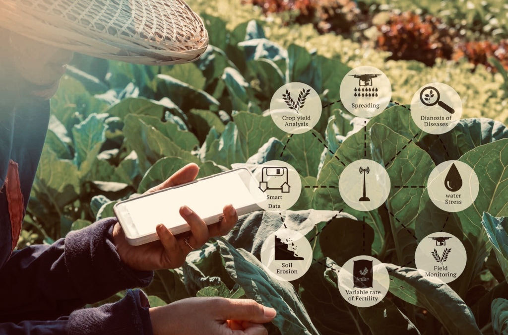 Can digital technologies attract African youth to Agriculture?