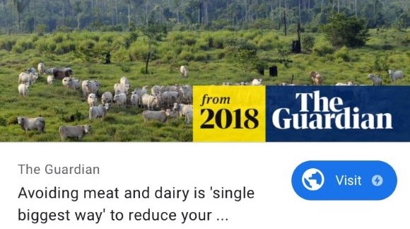Dissecting the Huge Controversy of Climate Change and Livestock Farming